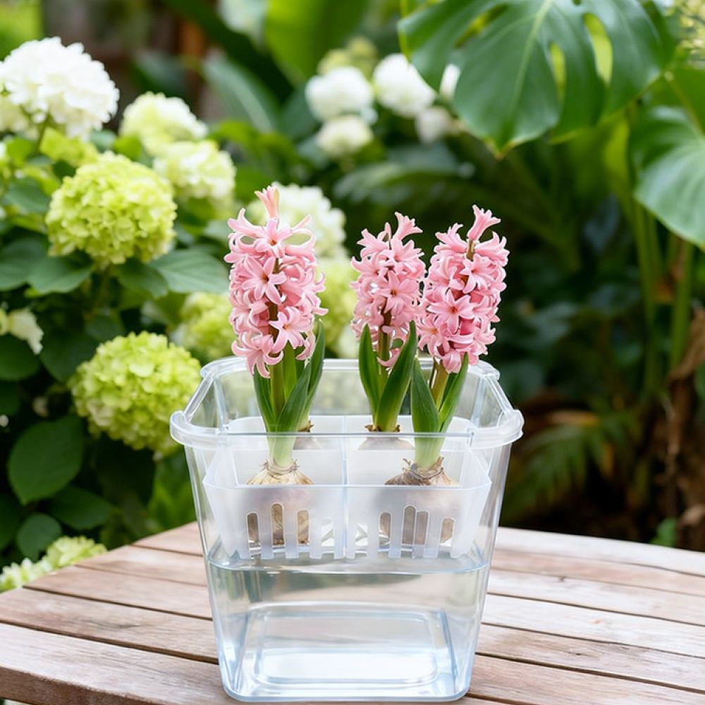 Wazon do uprawy tulipanów i li – Vase Decor recenzja i cena