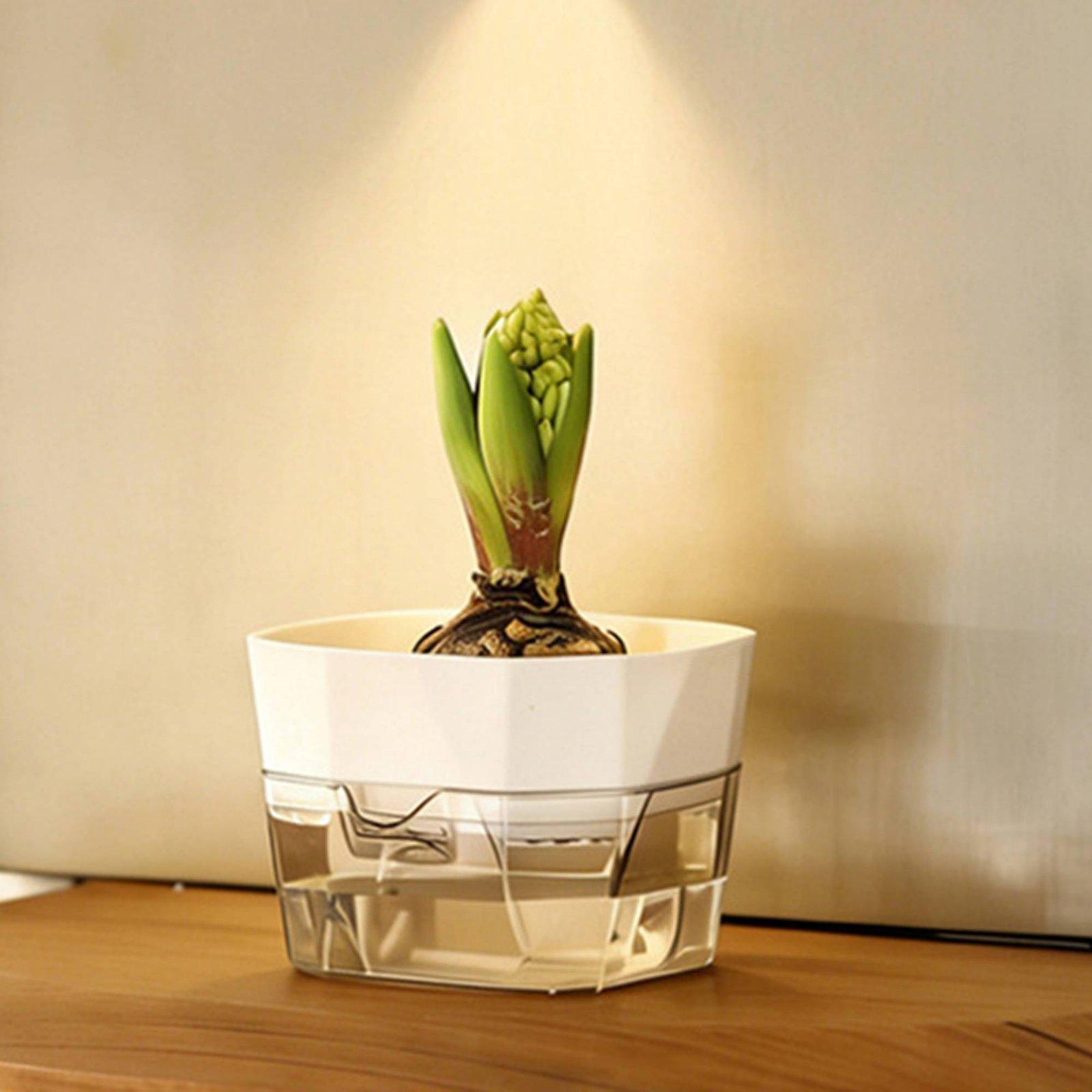 Wazon hydroponiczny dwuwarstwo – Vase Decor recenzja i cena